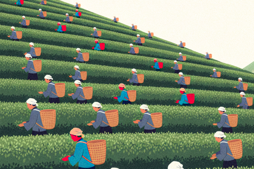 Naduri Georgian Work Song